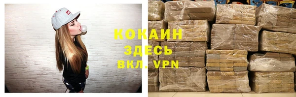 дживик Абаза