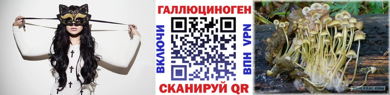 Псилоцибиновые грибы мицелий  как найти наркотики  Болхов 