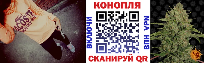 Каннабис Ganja  Болхов 